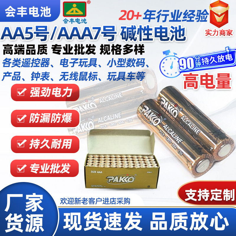 AA AAA碱性额温枪电池5号7号干电池AA LR6玩具遥控器电池无线鼠标