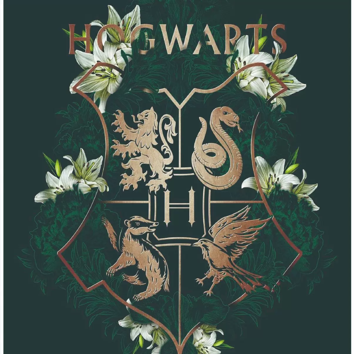 哈利波特学院风预言家日报活地图法兰绒印花毛毯客厅卧室沙发可用