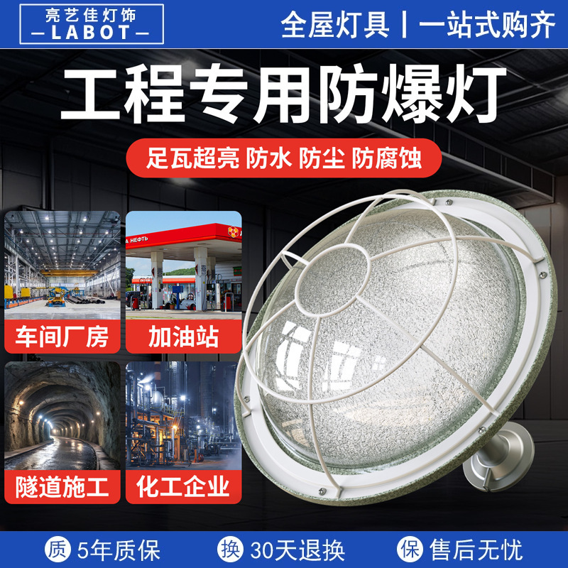 National Standard Led Explosion-Proof Light for Warehouses, Workshops, Gas Stations, Factories, Waterproof Lampshade, Explosion-Proof Lighting, Landmine Light
