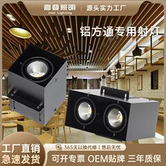 铝方通专用射灯方形双头led筒灯商用店铺cob方通吊顶格栅灯斗胆灯