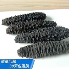 土耳其海参批发纯野生海参非即食海参干货米刺参礼盒装