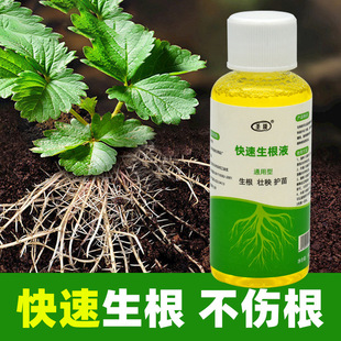 植物快速生根液生长剂壮苗生根粉剂营养液扦插移栽生根水强力增生-阿里巴巴