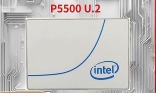 �m���Ӣ�ؠ�/Intel P5500 7.68T������������I���̑BӲ�P