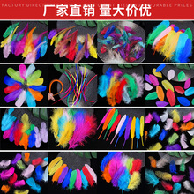 �S�����l��ɫ��ë��c�鼆�׃��ֹ��b��ϲ�����[���YƷ�����