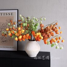 pu6^֧\滨ĭٻbc廨С{