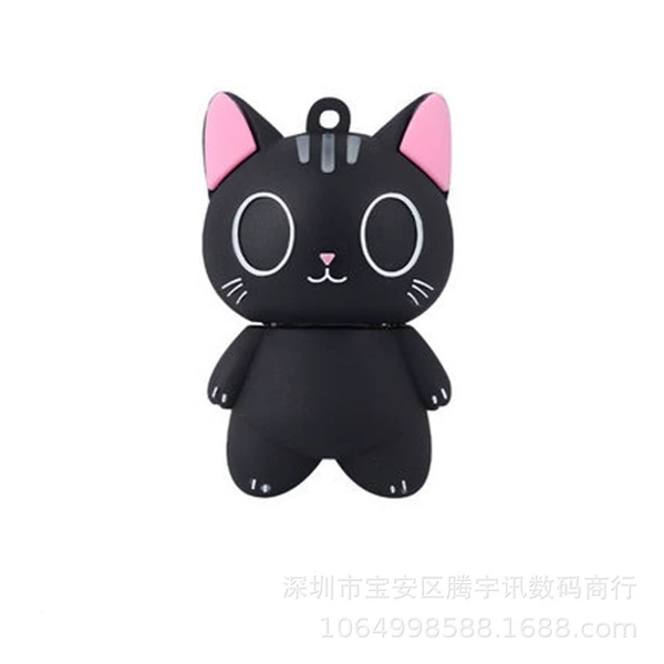 Little black cat