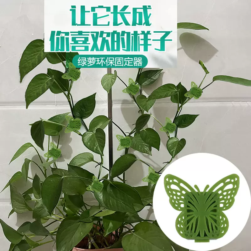 创意蝴蝶绿萝固定器绿萝爬墙固定器 植物爬墙器 理线器叶子固定器