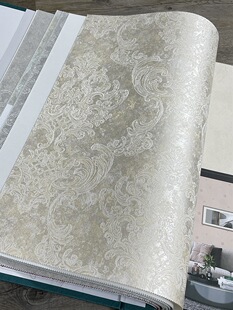 ���Sɫ���Rʿ�����ɫ���ҕ�������ڲ�