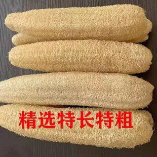 �z���ӽz�Ͻj�r��ȿϴ��ˮ����ˢ側���Ĩ���N���ٝ���һ�����l