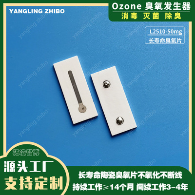 25*10mm longevity Ozone piece atmosphere purifier parts high pressure Electrode sheet disinfect sterilization In addition to formaldehyde