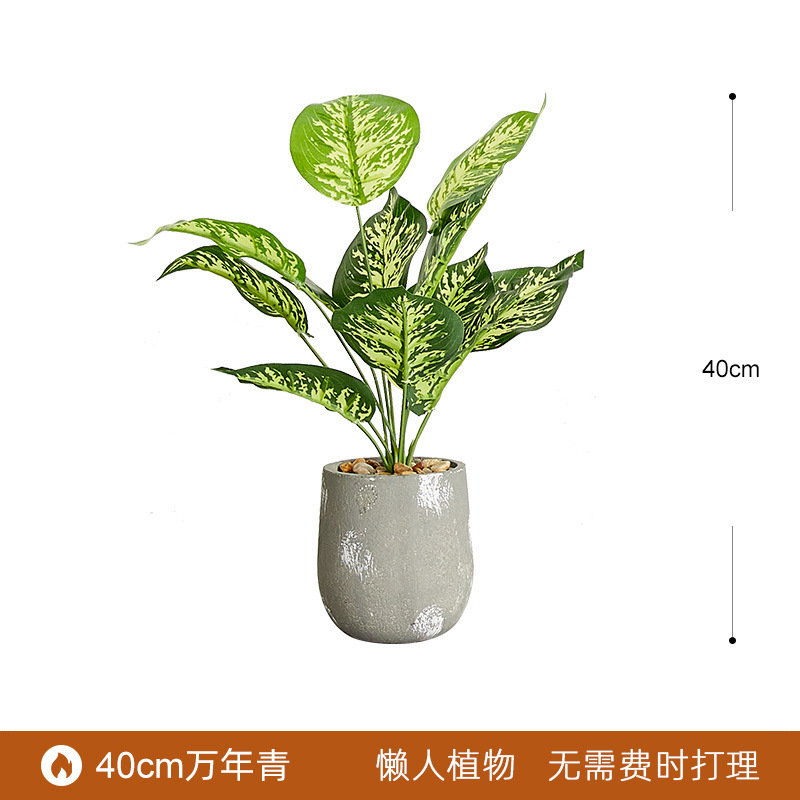 Planta verde artificial bonsai interior gran planta decoración fábrica al por mayor paraíso pájaro plátano decoración paisaje bonsai image 43