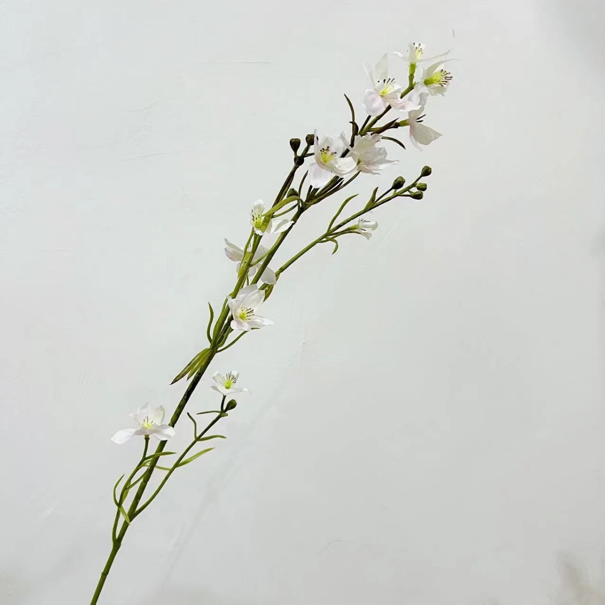 Gum 지점 Chibrdweed-가벼운 핑크