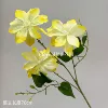 Oil painting clematis