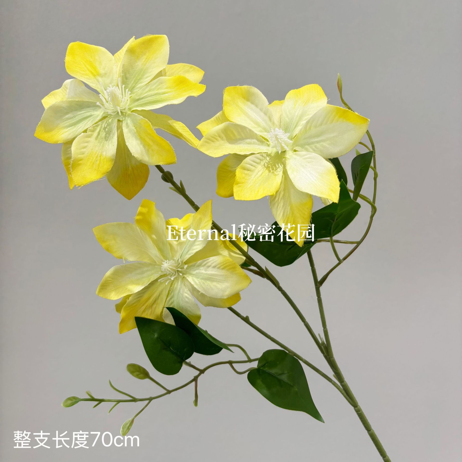 Pintura al óleo Clematis