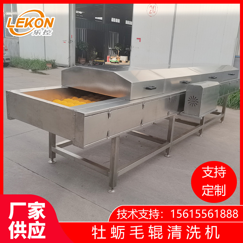 菱角葫芦瓜毛辊清洗机 果蔬清洗去皮设备 中央厨房去泥沙设备乐控