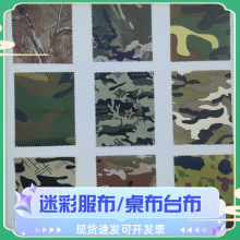 �¿��Բʷ��ڱ����ϑ���Ӻ���Բʲ������������������b�ړ���