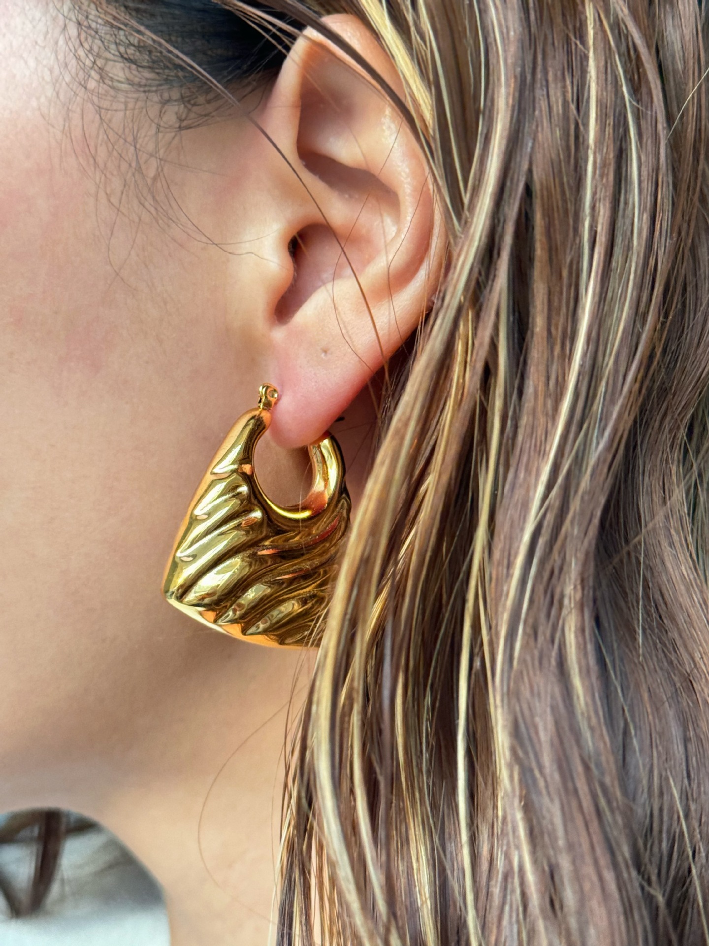 Earrings Classification 1 Pair IG Style Geometric Titanium Steel 18K Gold Plated Earrings