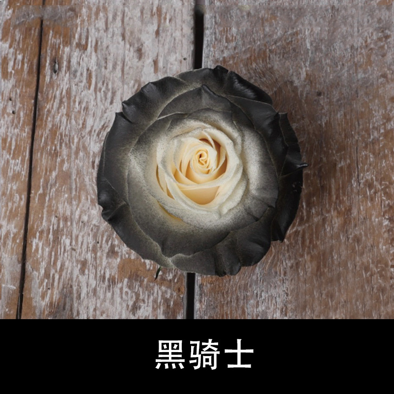 450ml agente de color de aerosol de flores al por mayor pintura en aerosol de secado rápido agente de teñido de rosas de color aerosol de color perlado floristería