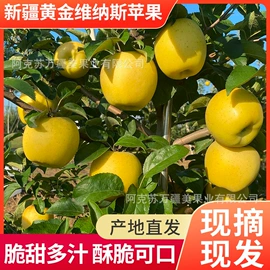 红枣干;葡萄干;苹果