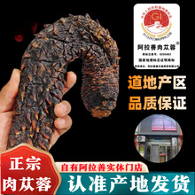 ��Ş�������i�޽����������İ�������ɐ�؃��ɹž��x