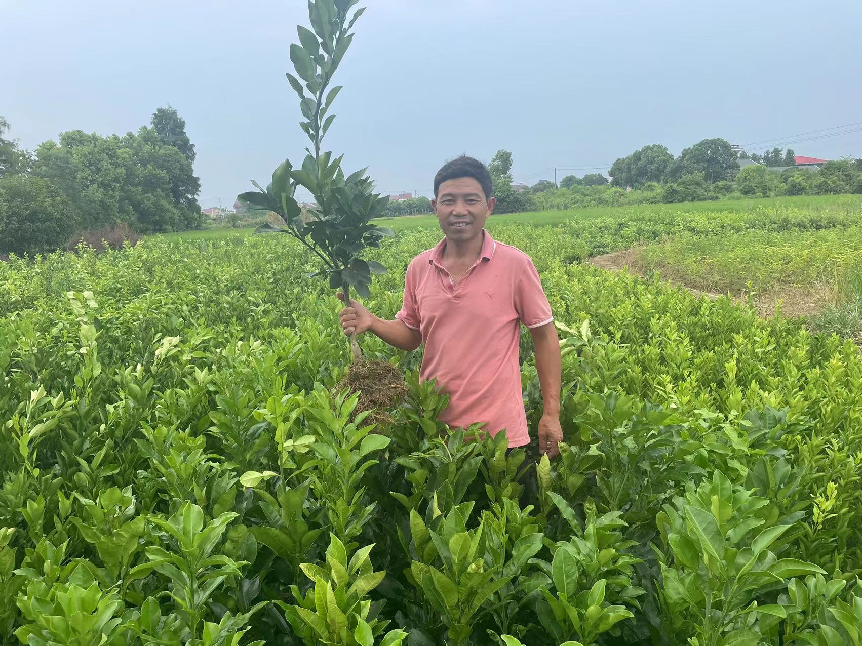 68c65a651958bb8698e24438827afc