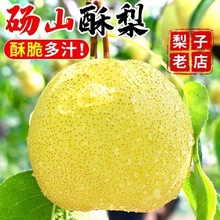 ӴXɽSƤrˮؕǻʹOٰl