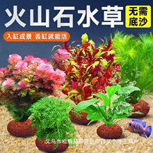 ��ɽʯˮ��ֲ���~���쾰���ˮ������ˮ����ԾG�Ճ���ˮ�|���l