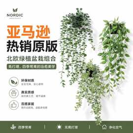 100+款亚马逊热销仿真绿植盆栽组合家居装饰假花仿真植物垂条盆栽