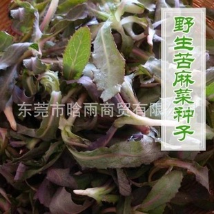 ���lҰ������˷N������ˠI�B�ڸ��r�ۿ������������̨���Բ���