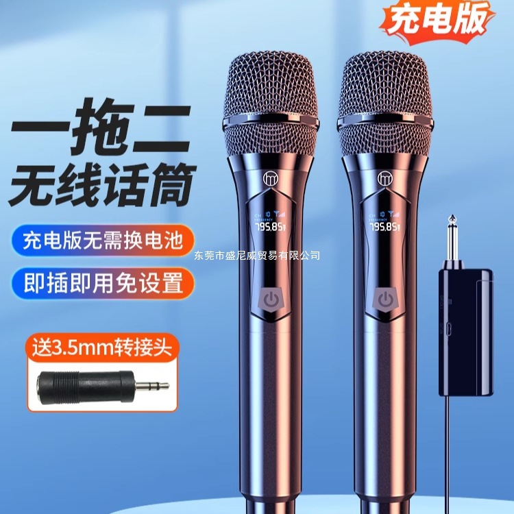Wireless Microphone One-To-Two Karaoke Microphone for Home Use, Singing, Ktv, with Speakers, Professional Outdoor Use