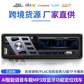 车载mp3;车载mp4;车载mp5