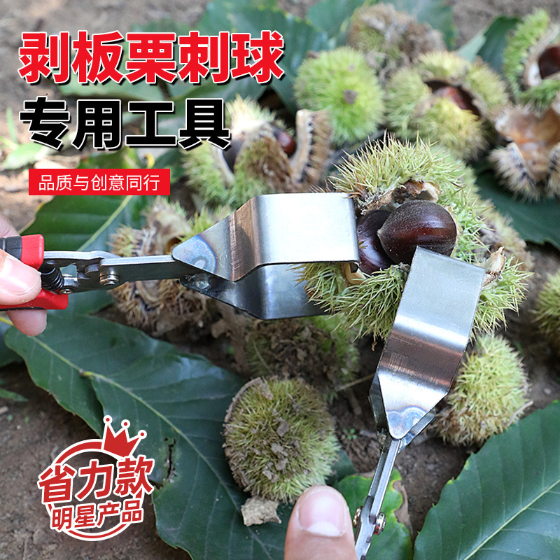 剥板栗刺球工具板栗剥壳器栗开口器剥板栗刺神器脱蓬器板开壳工具