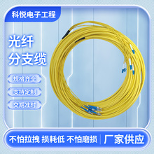 �S�����l�F؛���|���w�������������֧���|������֧������������