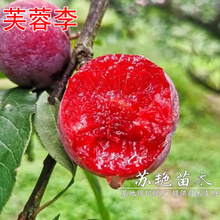 ܽ�����Ә���t��Ó�������ϱ���ͥԺ���Թ��������Լ޽Ӯ���Y��