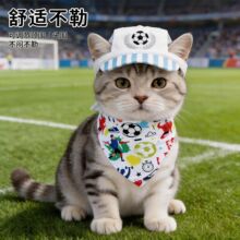 2026���籭��������ñ�ӌ���©�����ñ؈����Ʒ�羳؈��ͨ��