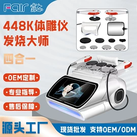 电子美容仪;其他美体瘦身;其他美容仪器