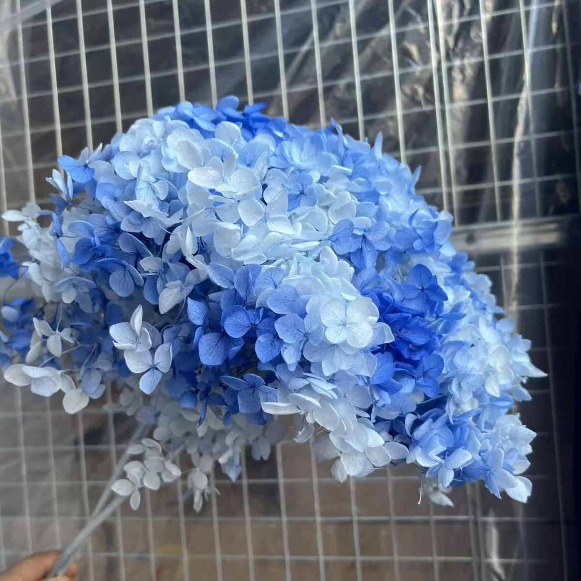 Flores eternas hortenida flores secas Anna hortenida hojas hortenida cabeza de hortenida flores eternas cubierta de vidrio material ramo diy