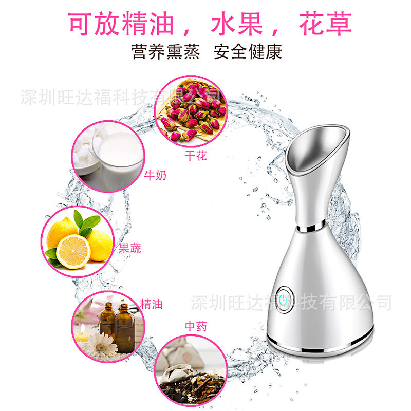 跨境美容蒸脸仪热喷家用喷雾蒸脸器脸部补水仪加湿器嫩肤仪美容仪|undefined