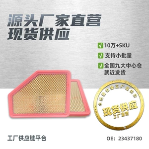 Suitable for Buick Regal 23437180 Air Filter Element Air Grid