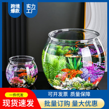 水族箱透明微景观造景塑料耐碰耐摔龟缸多功能小型桌面金
