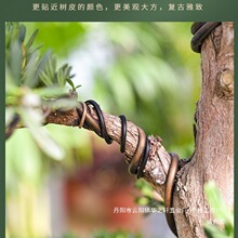 �S���辰�����X�z�X���P���X�z������@ˇ�F�z�����_�h�ɶ��ͅνz