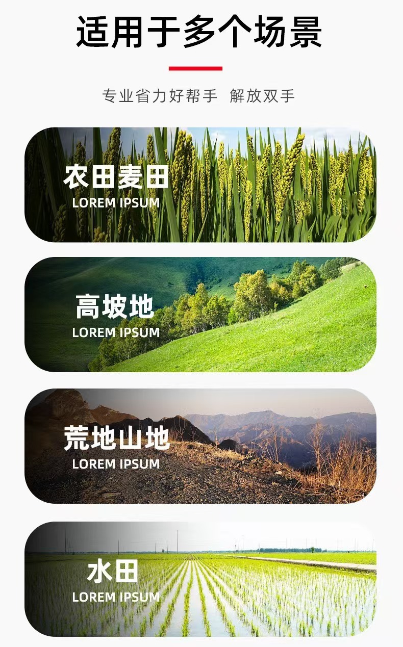 微信图片_20250104115858