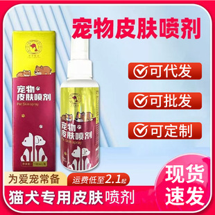 �h���Ȍ�؈�乷���坍Ƥ�w�����坍����Ƥ�w����