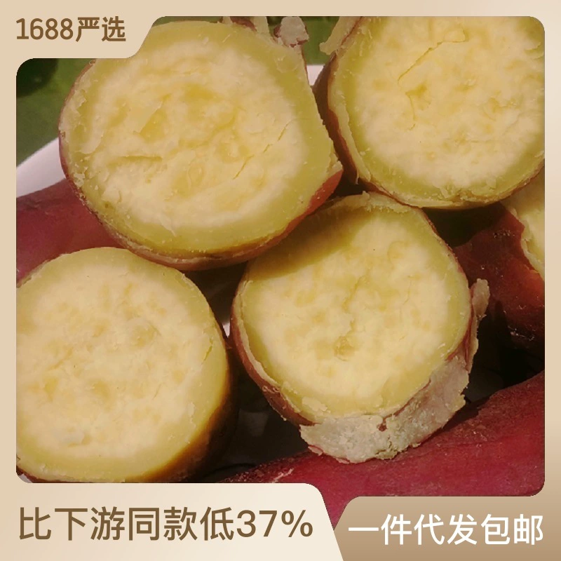 Аутентичный Hainan Chengmai Qiaotou богатый Se сладкий картофель происхождения, прямые продажи песочного каштана, сладкого картофеля поколения