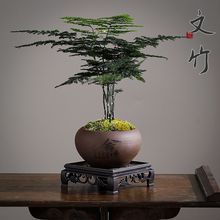 ��������ֲ���҃ȃ����՚��k���ҾGֲ���������辰����С����