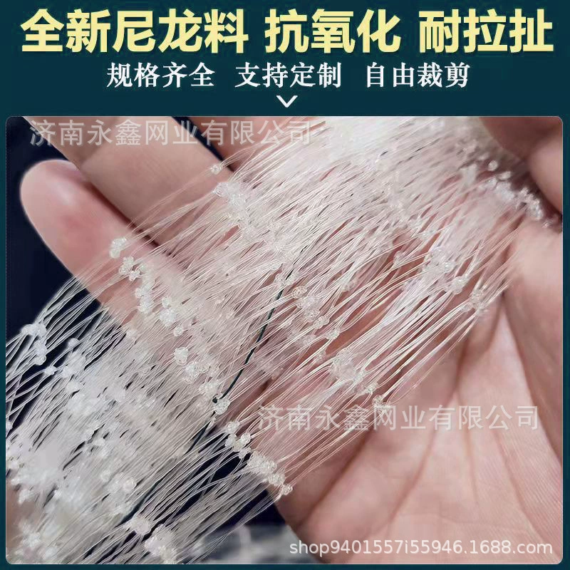 Оптовая продажа фабрики анти -- птица чистая сад Виноград рис вишня нейлон защитная сетка полные спецификации