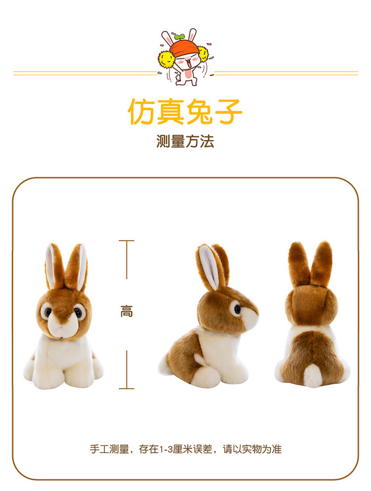 仿真兔子_05.jpg