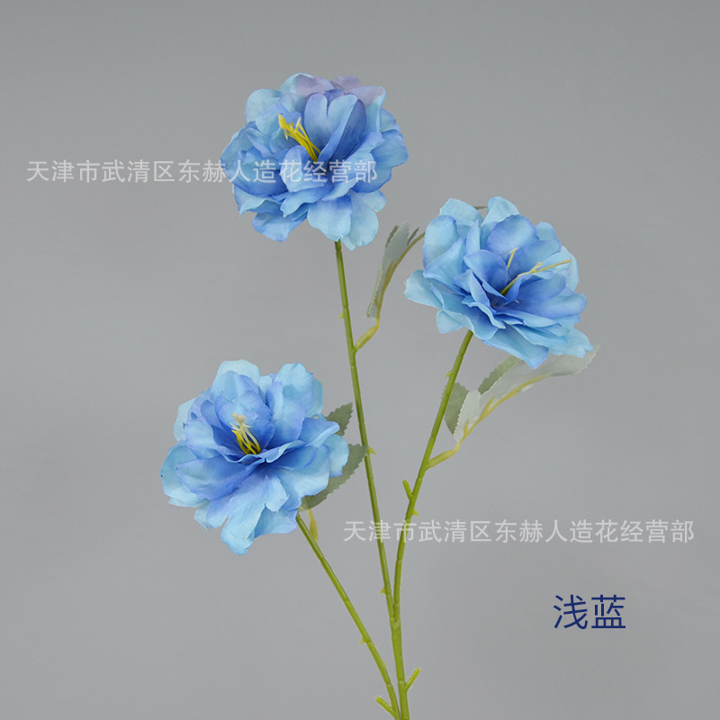 라이트 블루