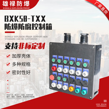 BXK58-TXX防爆防腐控制箱 鋁合金防爆箱 立式防爆電機啟停按鈕箱
