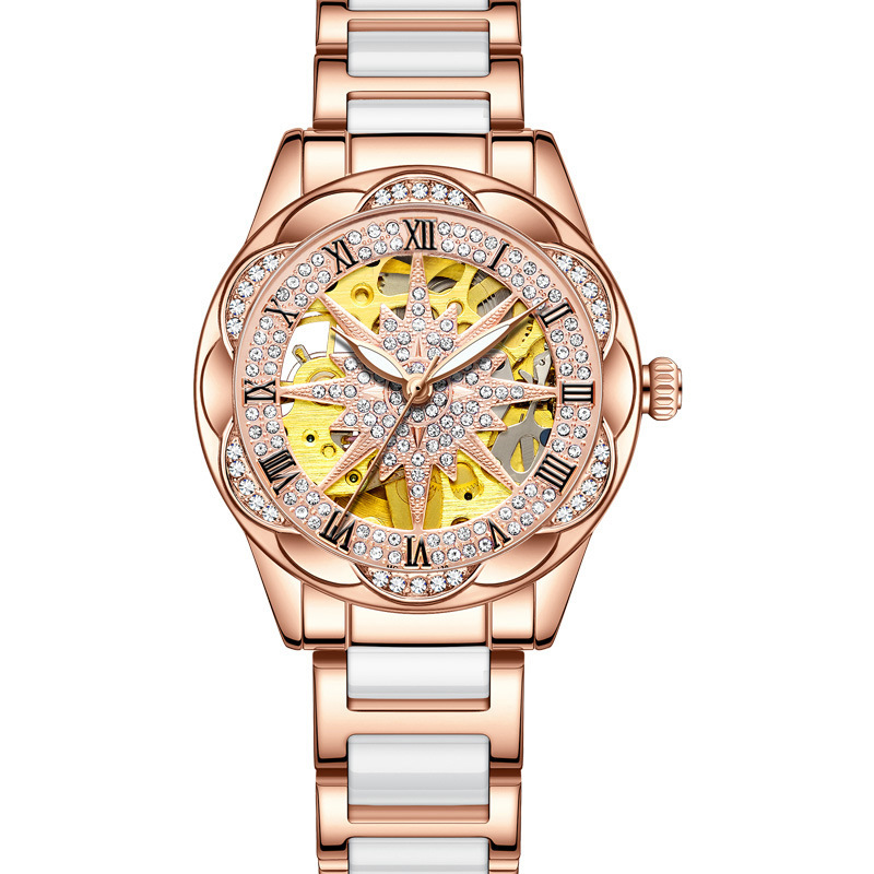女款机械手表女士品牌正品防水镶钻镂空透明大表盘太阳花机械手表